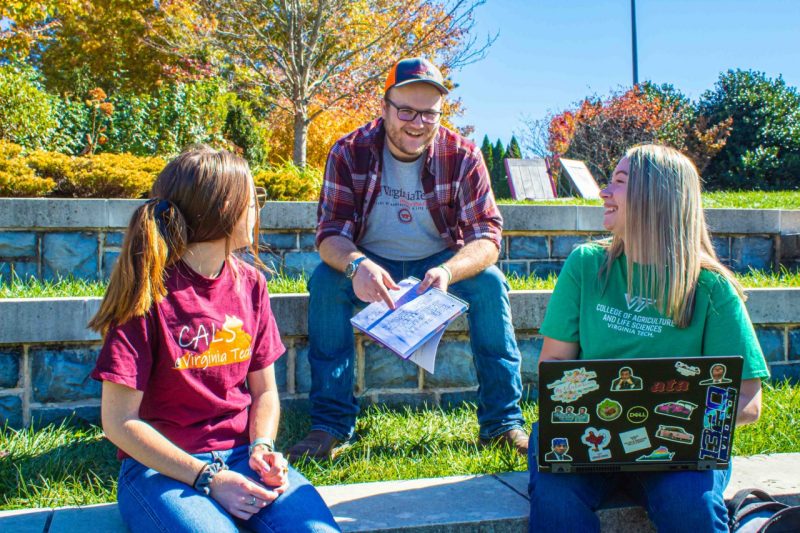 students studying together outside